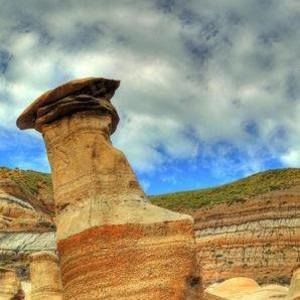 Meet your Posher, Avery